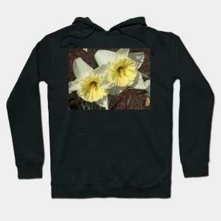 Spring Doubles Hoodie